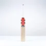 GRAY NICOLLS VENTUS 1.0 5 STAR LITE CRICKET BAT SHORT HANDLE